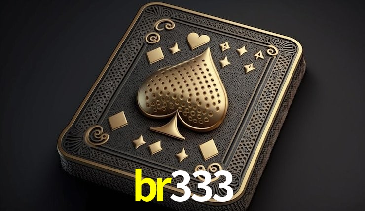 Experiência VIP br333